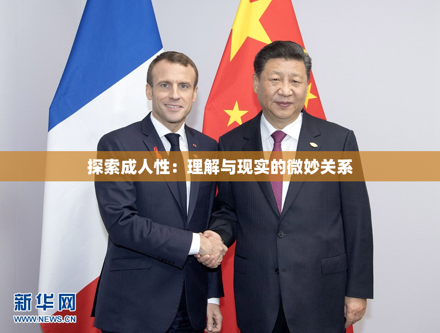 探索成人性：理解与现实的微妙关系