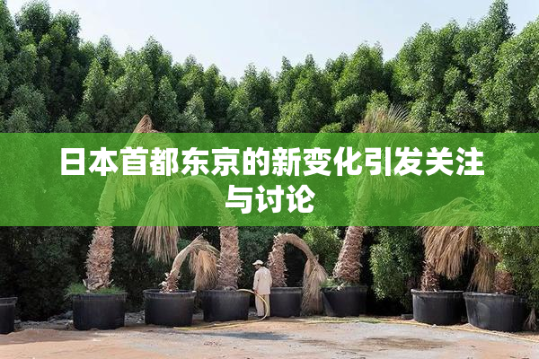 日本首都东京的新变化引发关注与讨论