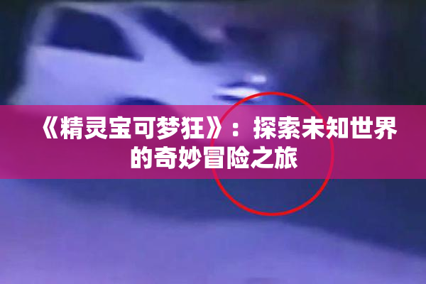 《精灵宝可梦狂》：探索未知世界的奇妙冒险之旅