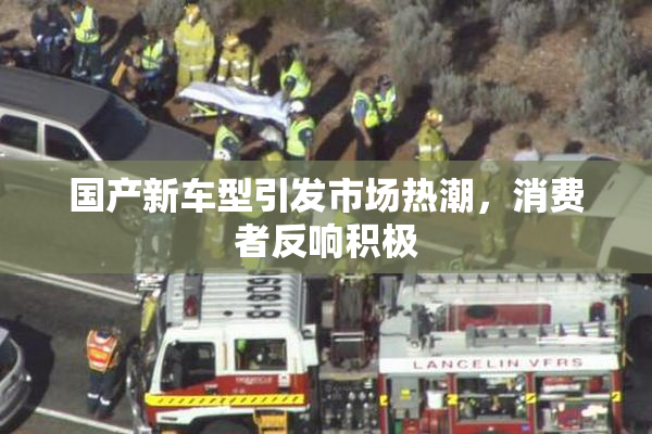 国产新车型引发市场热潮，消费者反响积极