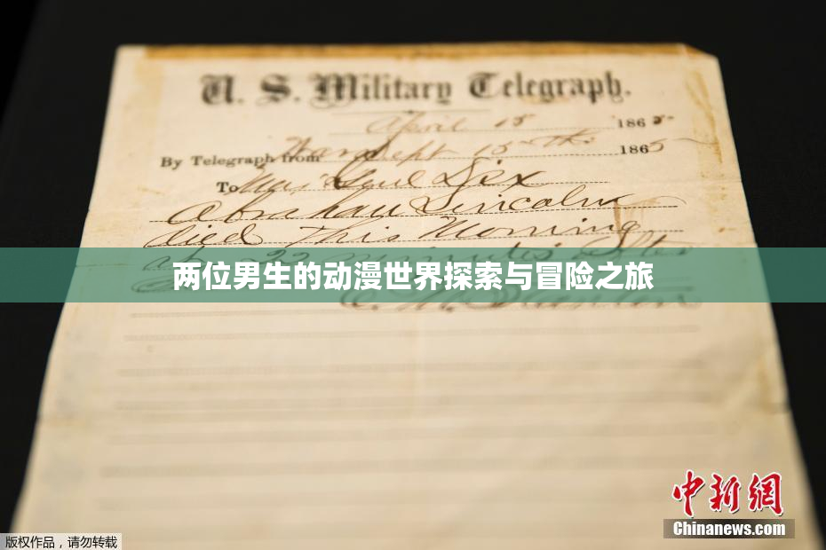 两位男生的动漫世界探索与冒险之旅