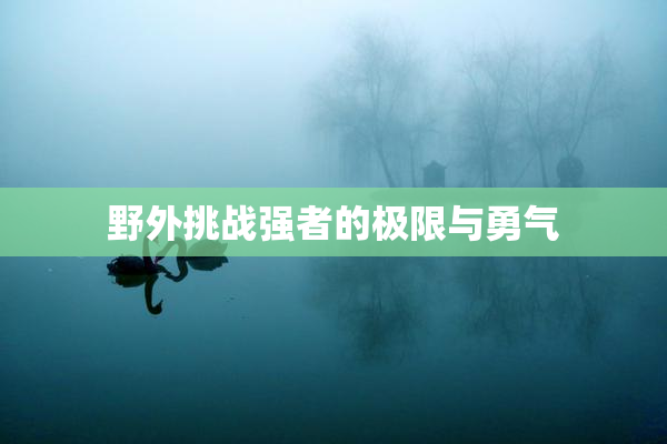 野外挑战强者的极限与勇气