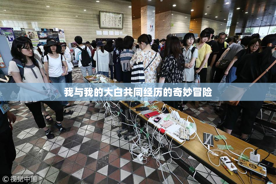 我与我的大白共同经历的奇妙冒险