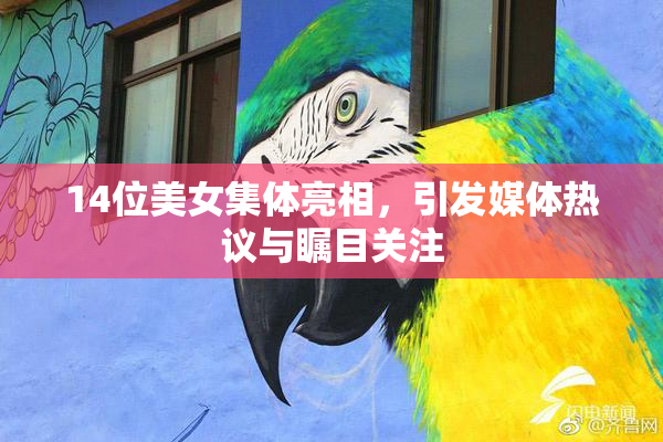 14位美女集体亮相，引发媒体热议与瞩目关注