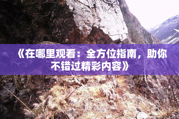 《在哪里观看：全方位指南，助你不错过精彩内容》