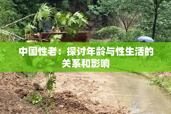 中国性老：探讨年龄与性生活的关系和影响