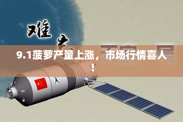 9.1菠萝产量上涨，市场行情喜人！