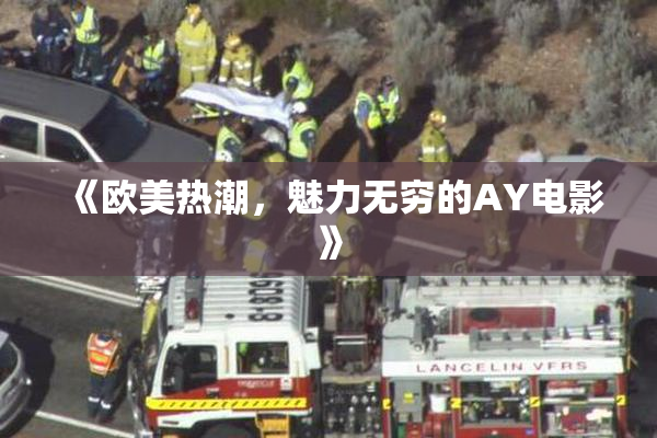 《欧美热潮，魅力无穷的AY电影》