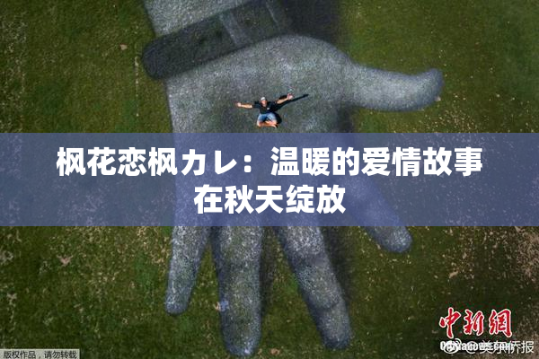枫花恋枫カレ：温暖的爱情故事在秋天绽放