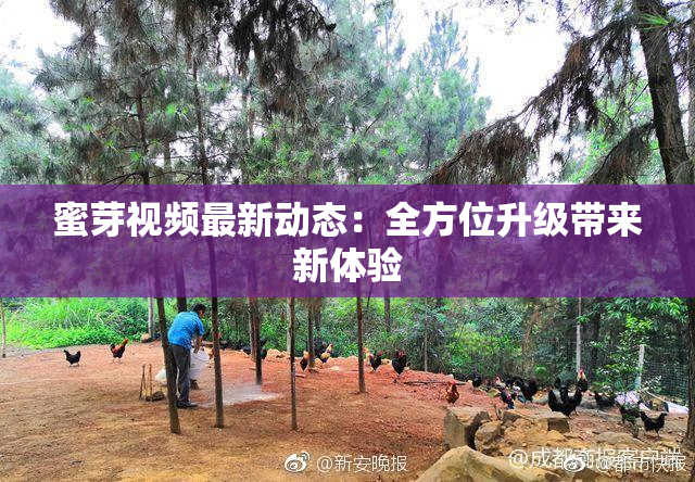 蜜芽视频最新动态：全方位升级带来新体验