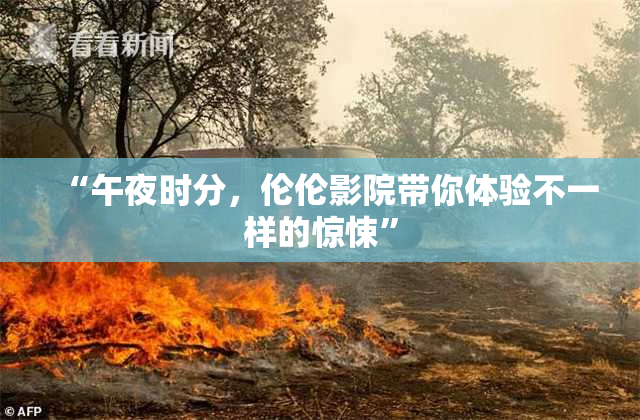 “午夜时分，伦伦影院带你体验不一样的惊悚”
