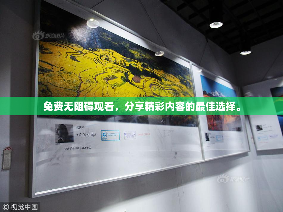 免费无阻碍观看，分享精彩内容的最佳选择。