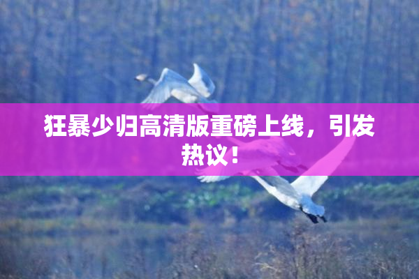 狂暴少归高清版重磅上线，引发热议！