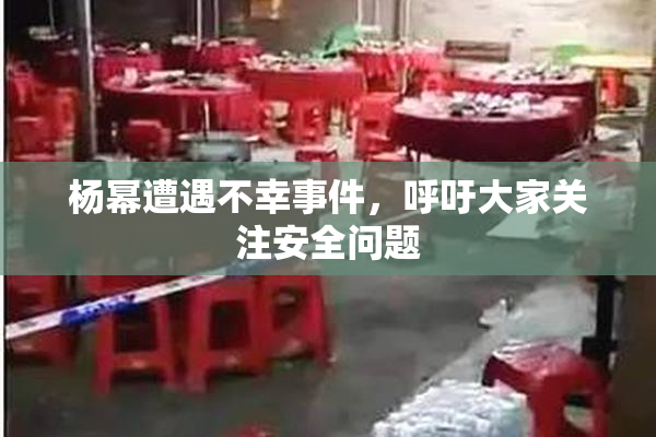杨幂遭遇不幸事件，呼吁大家关注安全问题