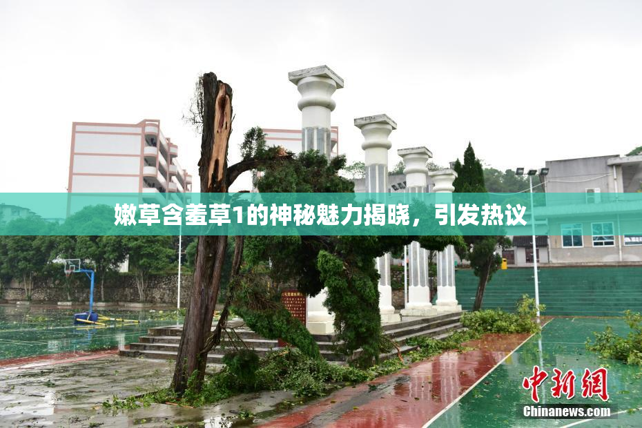嫩草含羞草1的神秘魅力揭晓，引发热议