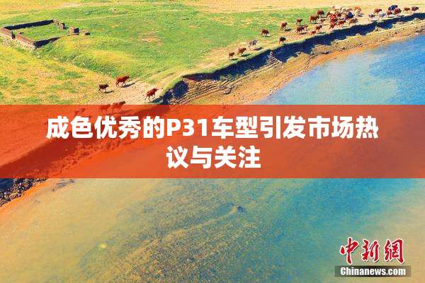 成色优秀的P31车型引发市场热议与关注