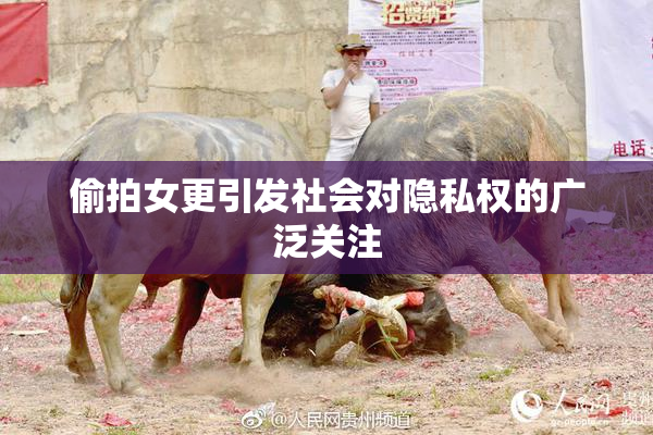 偷拍女更引发社会对隐私权的广泛关注