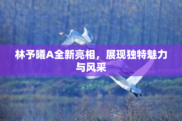 林予曦A全新亮相，展现独特魅力与风采