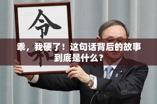 乖，我硬了！这句话背后的故事到底是什么？