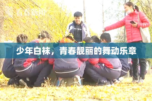 少年白袜，青春靓丽的舞动乐章