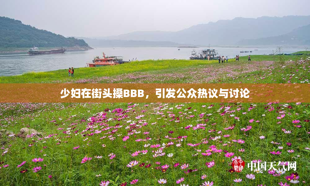 少妇在街头搡BBB，引发公众热议与讨论