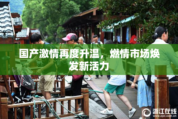 国产激情再度升温，燃情市场焕发新活力