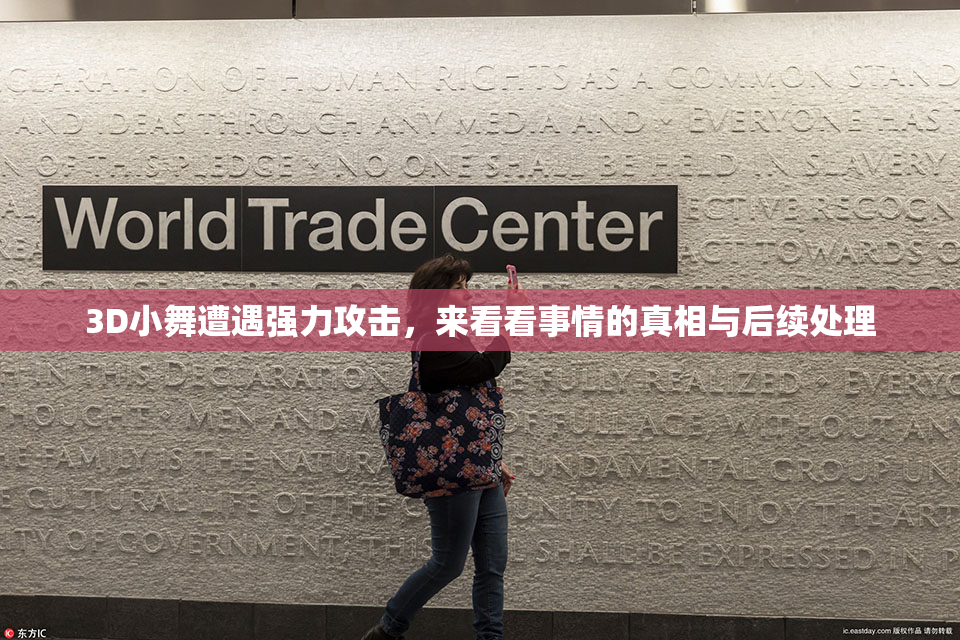 3D小舞遭遇强力攻击，来看看事情的真相与后续处理