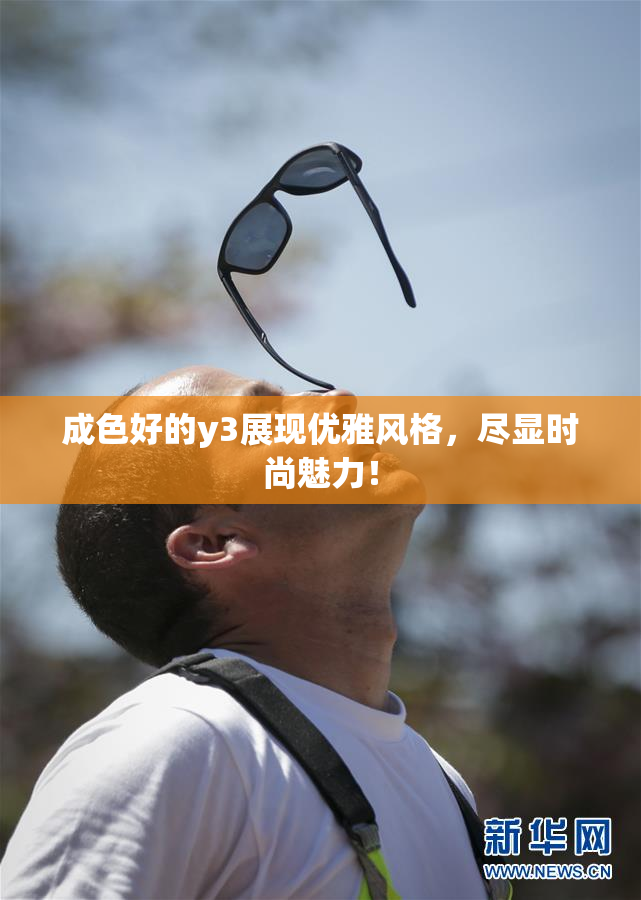 成色好的y3展现优雅风格，尽显时尚魅力！