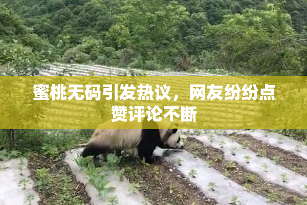 蜜桃无码引发热议，网友纷纷点赞评论不断