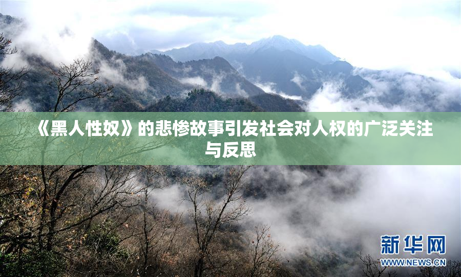 《黑人性奴》的悲惨故事引发社会对人权的广泛关注与反思
