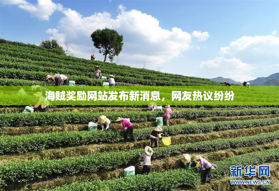 海贼奖励网站发布新消息，网友热议纷纷