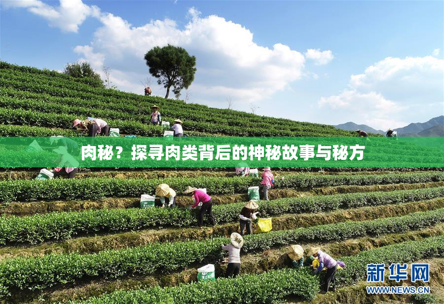 肉秘？探寻肉类背后的神秘故事与秘方