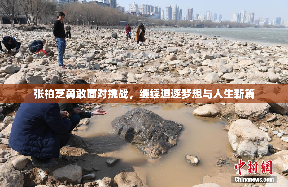 张柏芝勇敢面对挑战，继续追逐梦想与人生新篇