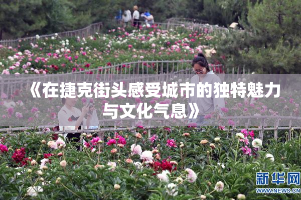 《在捷克街头感受城市的独特魅力与文化气息》