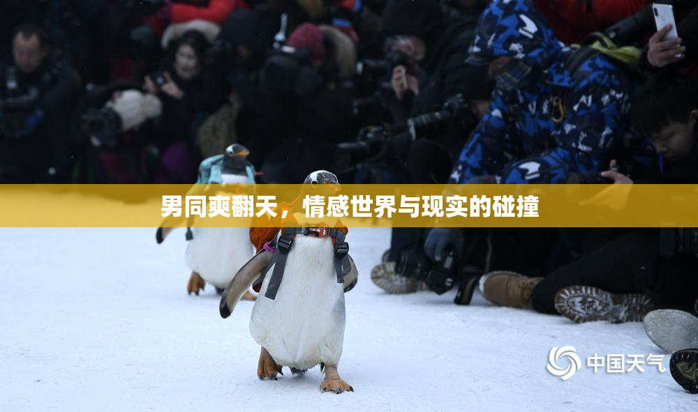 男同爽翻天，情感世界与现实的碰撞