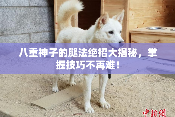 八重神子的腿法绝招大揭秘，掌握技巧不再难！