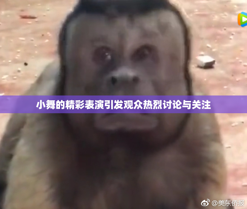 小舞的精彩表演引发观众热烈讨论与关注
