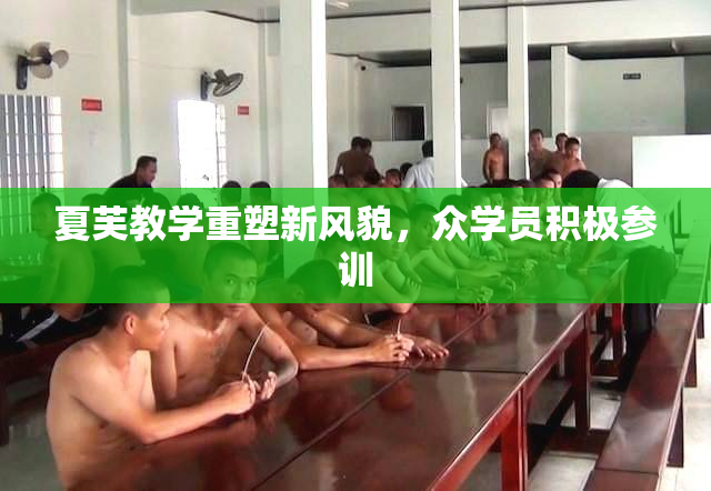 夏芙教学重塑新风貌，众学员积极参训