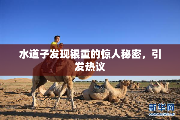 水道子发现银重的惊人秘密，引发热议