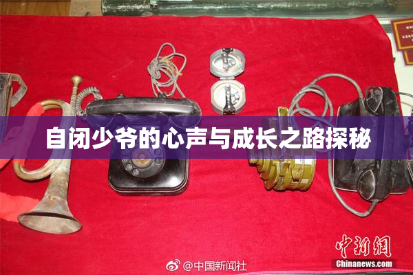 自闭少爷的心声与成长之路探秘