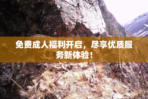 免费成人福利开启，尽享优质服务新体验！