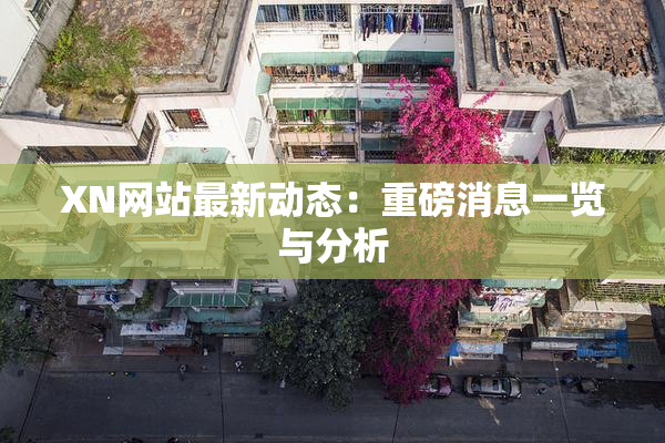 XN网站最新动态：重磅消息一览与分析