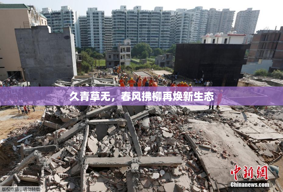 久青草无，春风拂柳再焕新生态