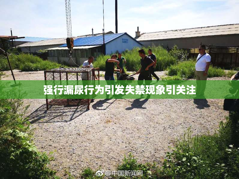 强行漏尿行为引发失禁现象引关注