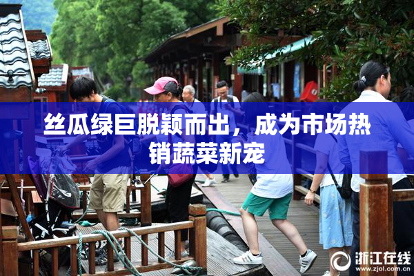 丝瓜绿巨脱颖而出，成为市场热销蔬菜新宠