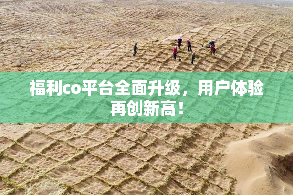 福利co平台全面升级，用户体验再创新高！