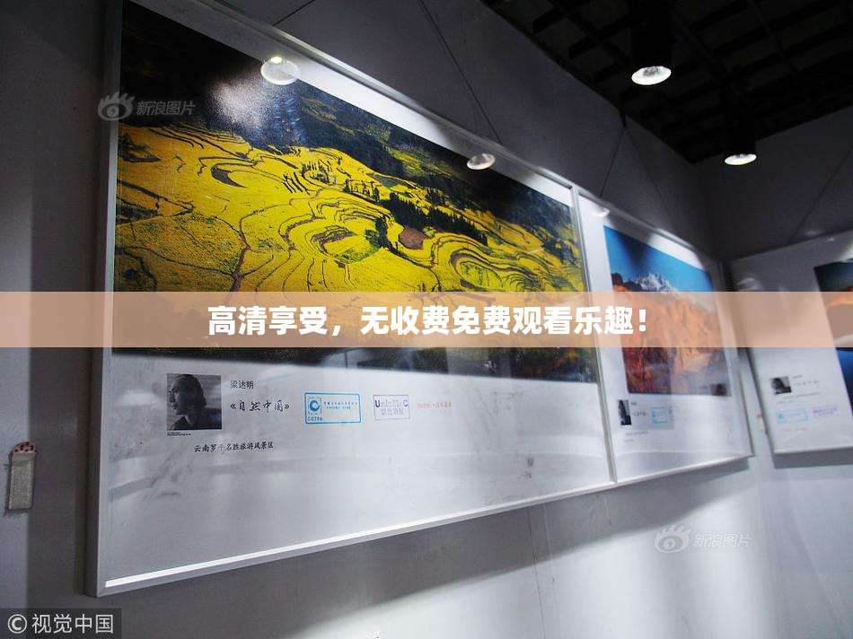 高清享受，无收费免费观看乐趣！