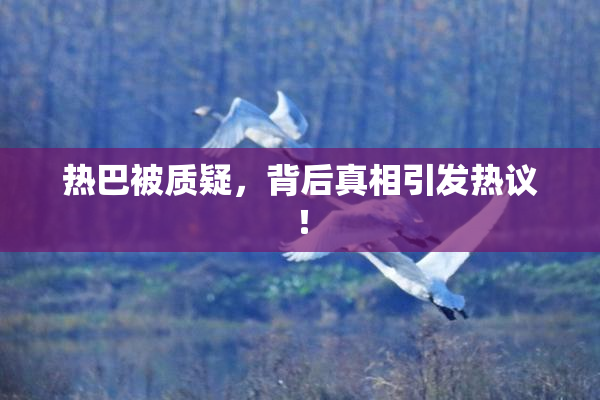 热巴被质疑，背后真相引发热议！