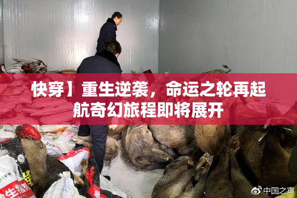 快穿】重生逆袭，命运之轮再起航奇幻旅程即将展开