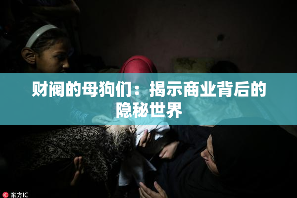 财阀的母狗们：揭示商业背后的隐秘世界